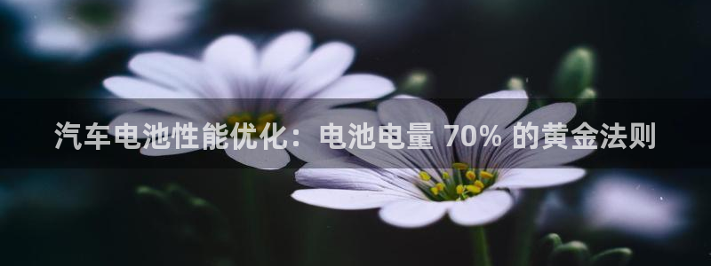 优发国际官方网