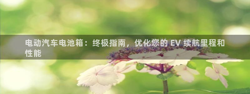 优发国际安卓版下载安装