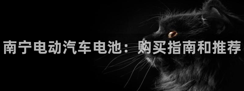 优发国际网站多少