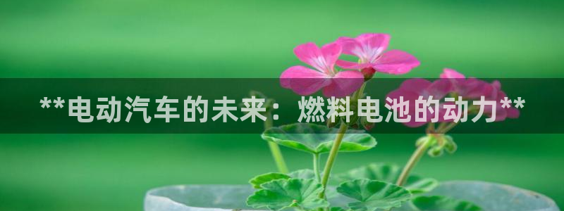优发国际安卓版下载安装最新版