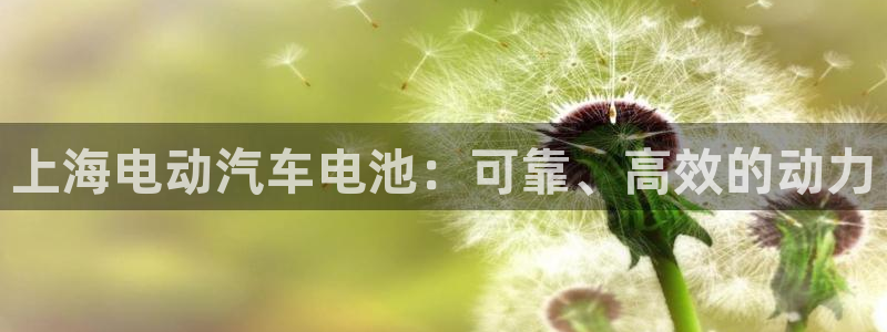 优发国际网官网17q8