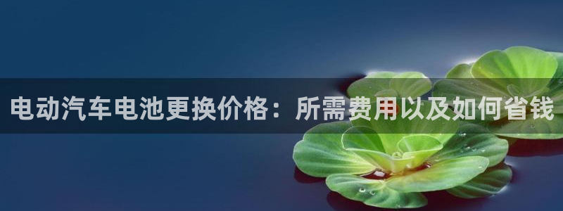 优发国际合并到哪里了