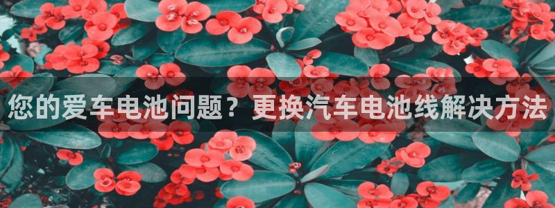 优发国际集团股份有限公司官网