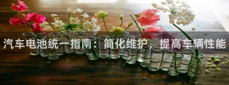 优发国际手机版下载官网