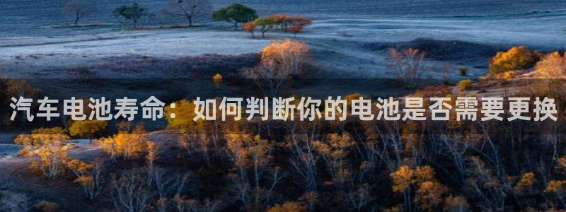 优发国际官网官方网址