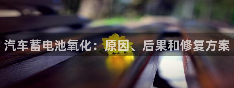 优发国际集团股份有限公司