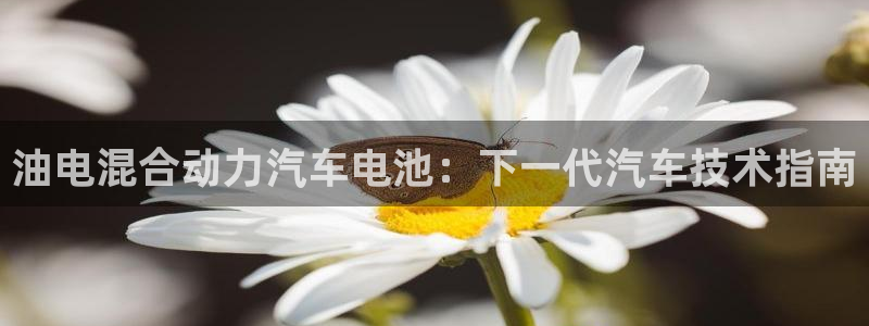 优发国际官网手机版入口