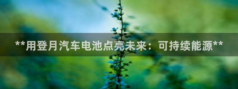 优发国际一触即发登陆