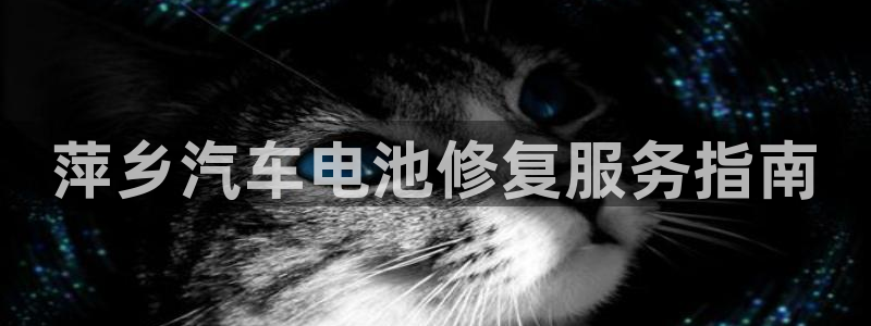 优发国际手机版网站