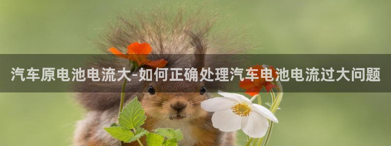 优发国际平台app下载官网