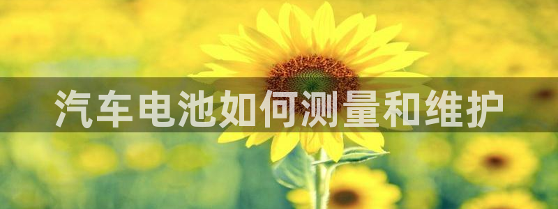 优发国际手机版唯一官网下载