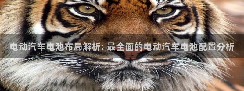 优发国际合并到哪里了