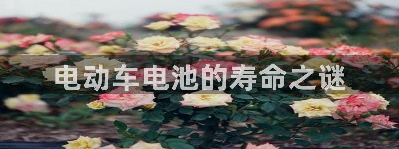 优发国际官网手