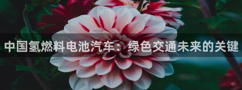 优发国际软件下载官网