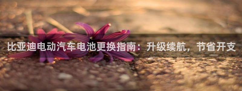 优发国际手机版官网入口