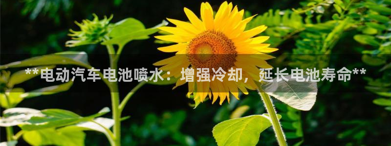 优发国际官网