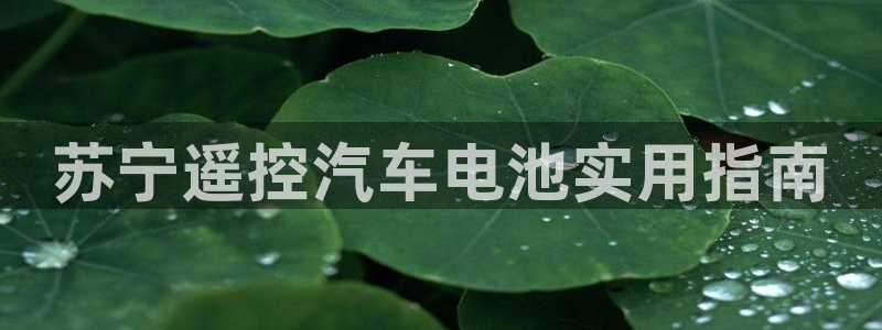 优发国际游戏官方网站