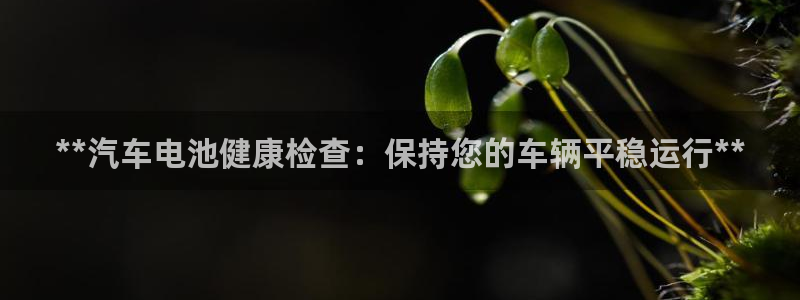 优发国际客服联系方式查询