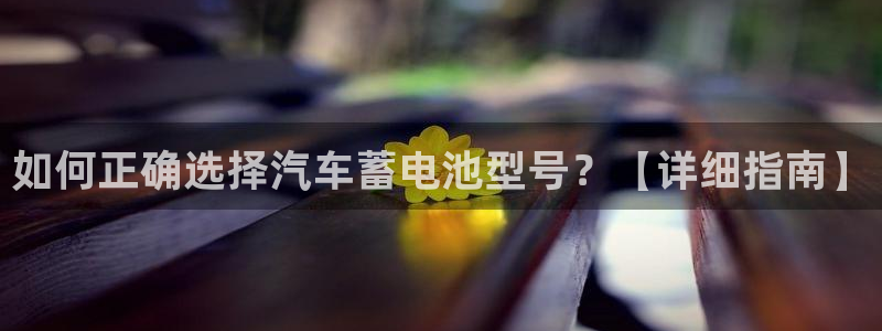 优发国际手机版官网