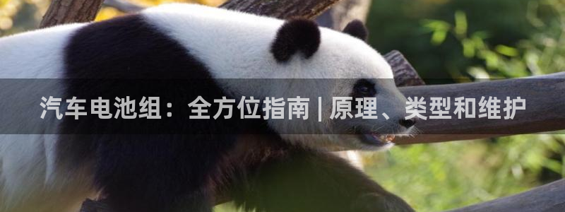 优发国际官方下载app