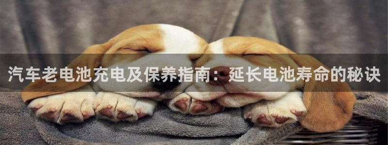 优发国际不出款了吗