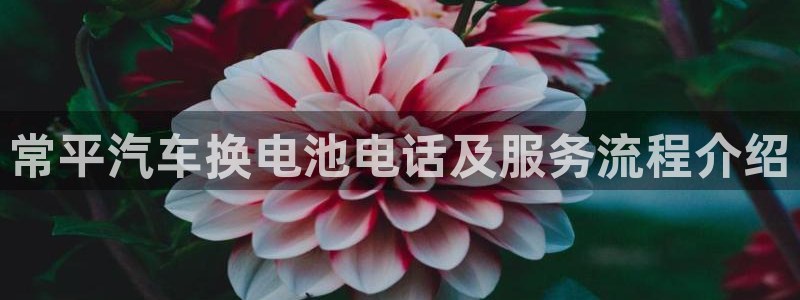 优发国际平台app下载安装