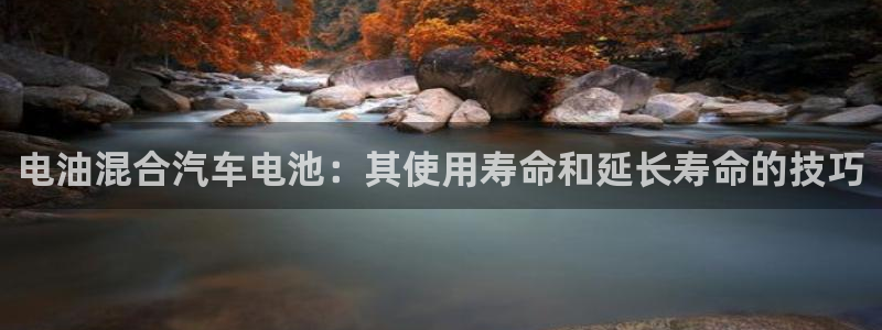 优发国际首页官网