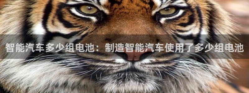优发国际集团股份有限公司