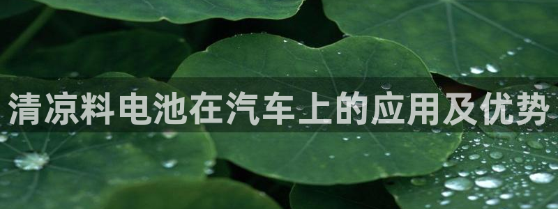 优发国际官方网