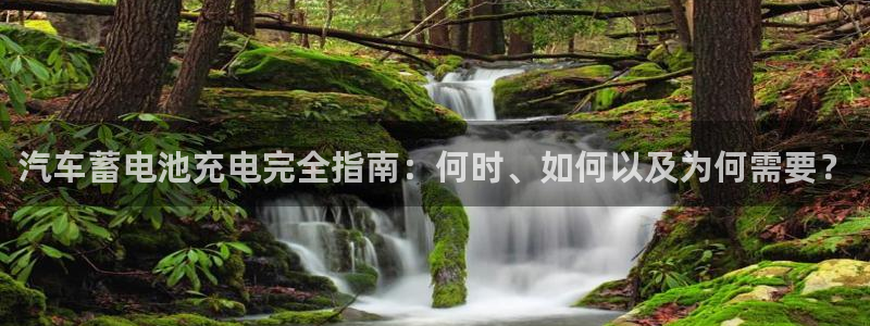 优发国际手机app下载安装