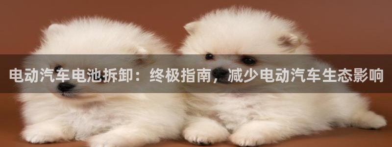 优发国际客服联系方式是什么