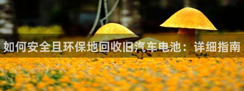 优发国际官方网手机版下载