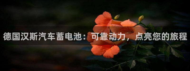 优发国际怎么样
