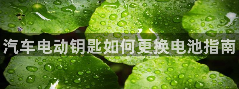 优发国际客服联系方式查询