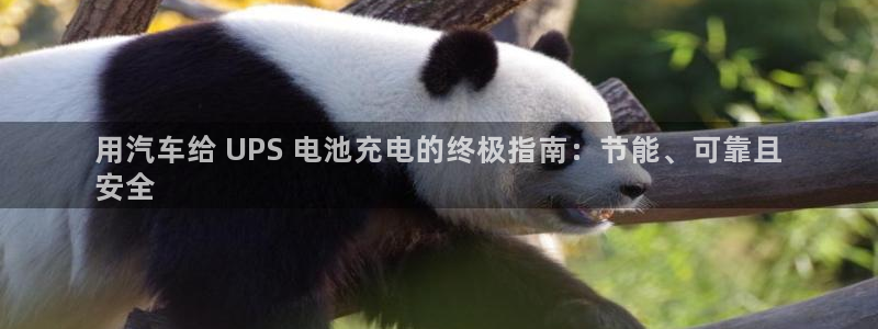 优发国际手机登录下载安装：用汽车给 UPS 电池充电的终极指南：节能、可靠且
安全