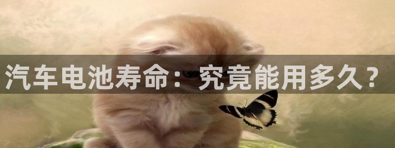 优发国际youfa