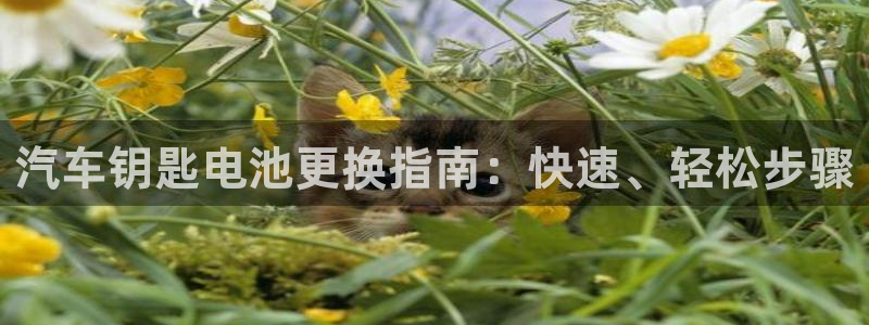优发国际平台18