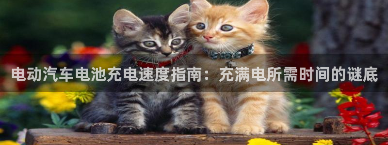 优发国际登录a：电动汽车电池充电速度指南：充满电所需时间的谜底