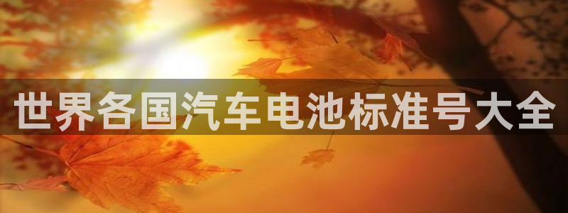 优发国际手机客户端下载不了