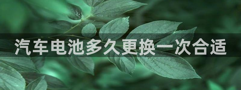 优发国际手机客户端