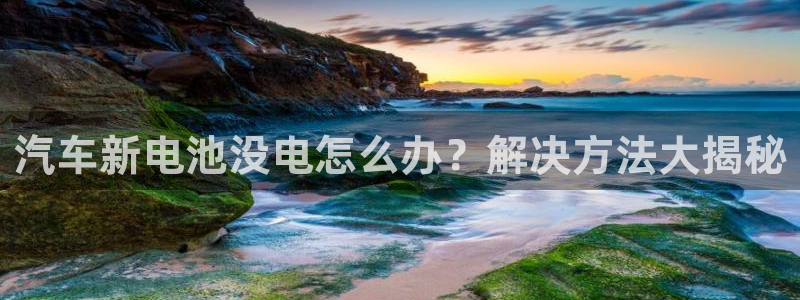 优发国际平台g80