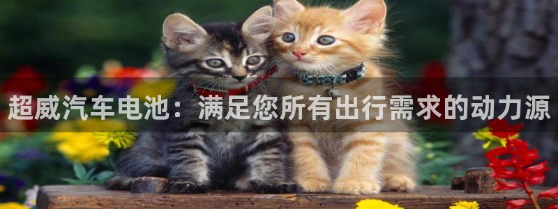 优发国际官方网手机版app