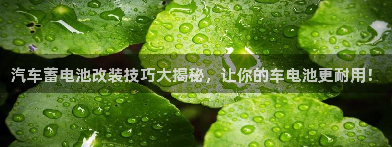优发国际官方网手机版下载