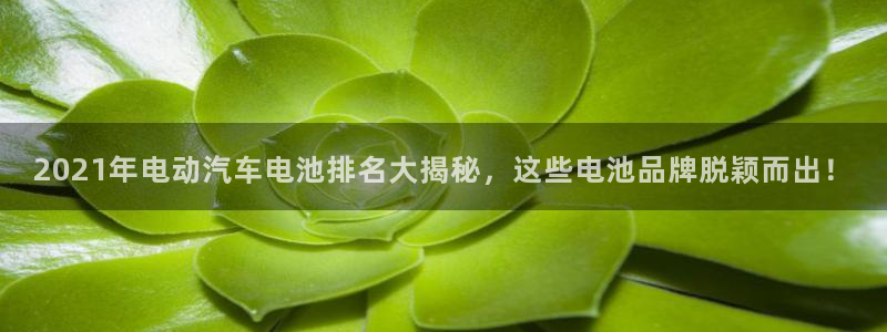优发国际手机客户端：2021年电动汽车电池排名大揭秘，这些电池品牌脱颖而出！