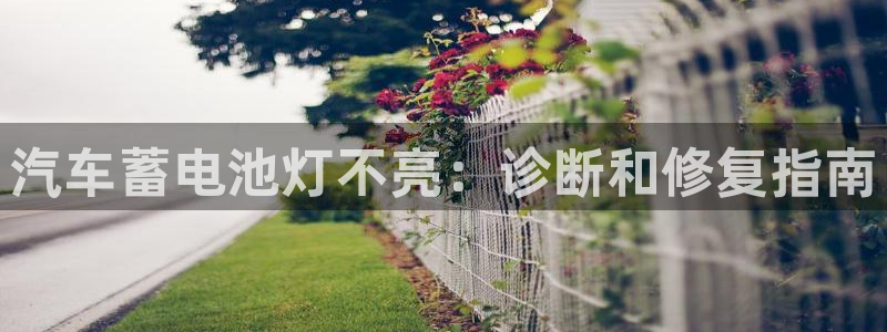 优发国际是不是黑网：汽车蓄电池灯不亮：诊断和修复指南
