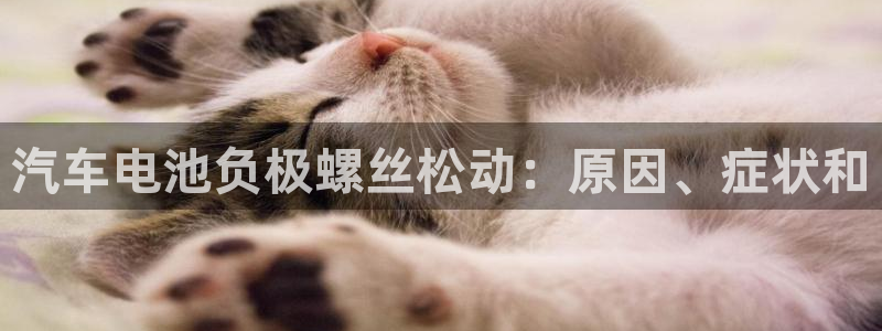 优发国际合并到哪里了最新消息：汽车电池负极螺丝松动：原因、症状和