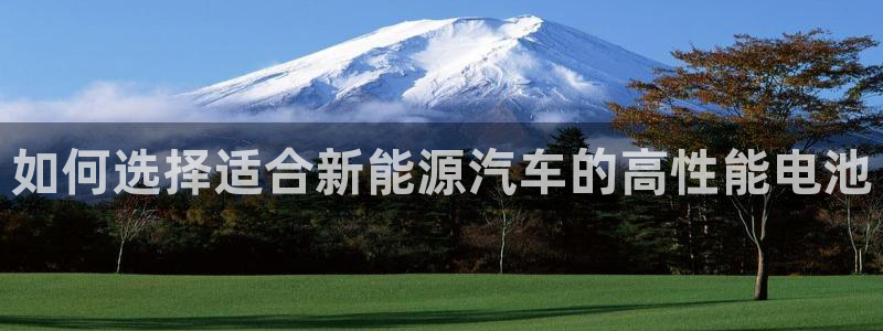 优发国际集团股份有限公司官网