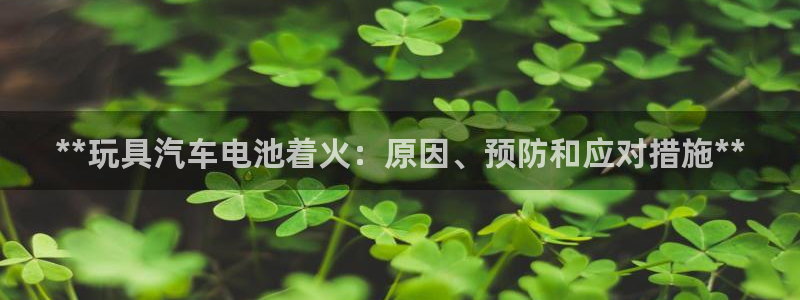 优发国际游戏网站：**玩具汽车电池着火：原因、预防和应对措施**