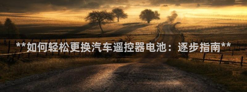 优发国际游戏官网：**如何轻松更换汽车遥控器电池：逐步指南**
