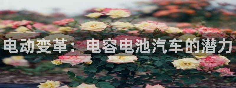 优发国际平台u8是什么